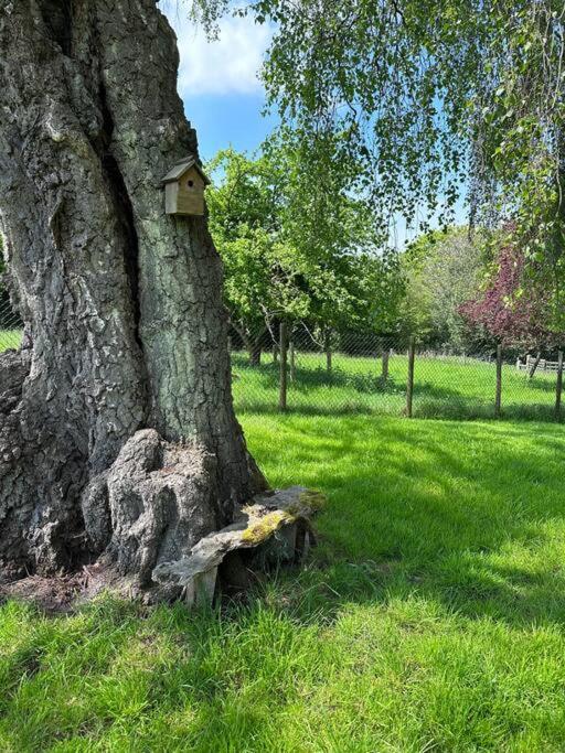 Beautiful 2 Bed Oast - 15 Acre Farm - Tunbridge Wells Villa Kültér fotó